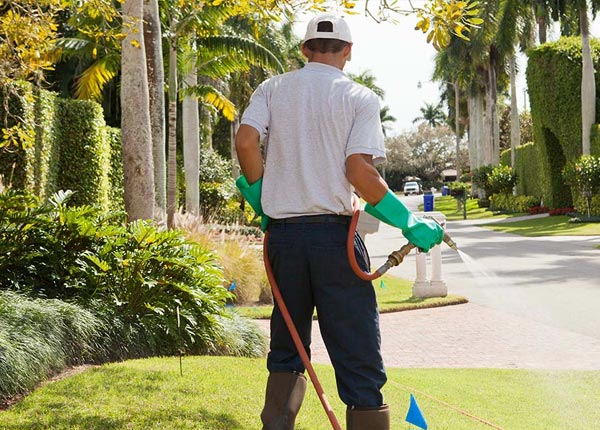 About Elizabeth MN Pest Control
